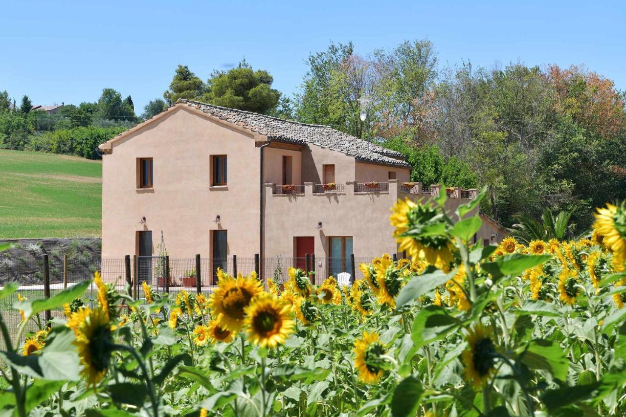 Casa Montefiore 13 Iris Lt Nella Tranquilla Campagna Marchigiana Ancona Dış mekan fotoğraf