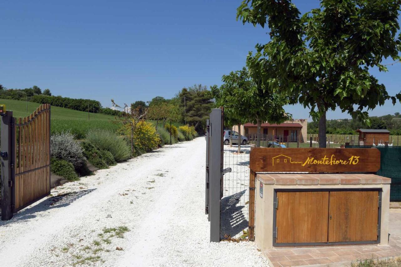 Casa Montefiore 13 Iris Lt Nella Tranquilla Campagna Marchigiana Ancona Dış mekan fotoğraf