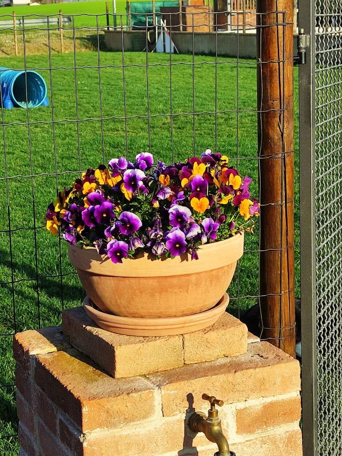 Casa Montefiore 13 Iris Lt Nella Tranquilla Campagna Marchigiana Ancona Dış mekan fotoğraf